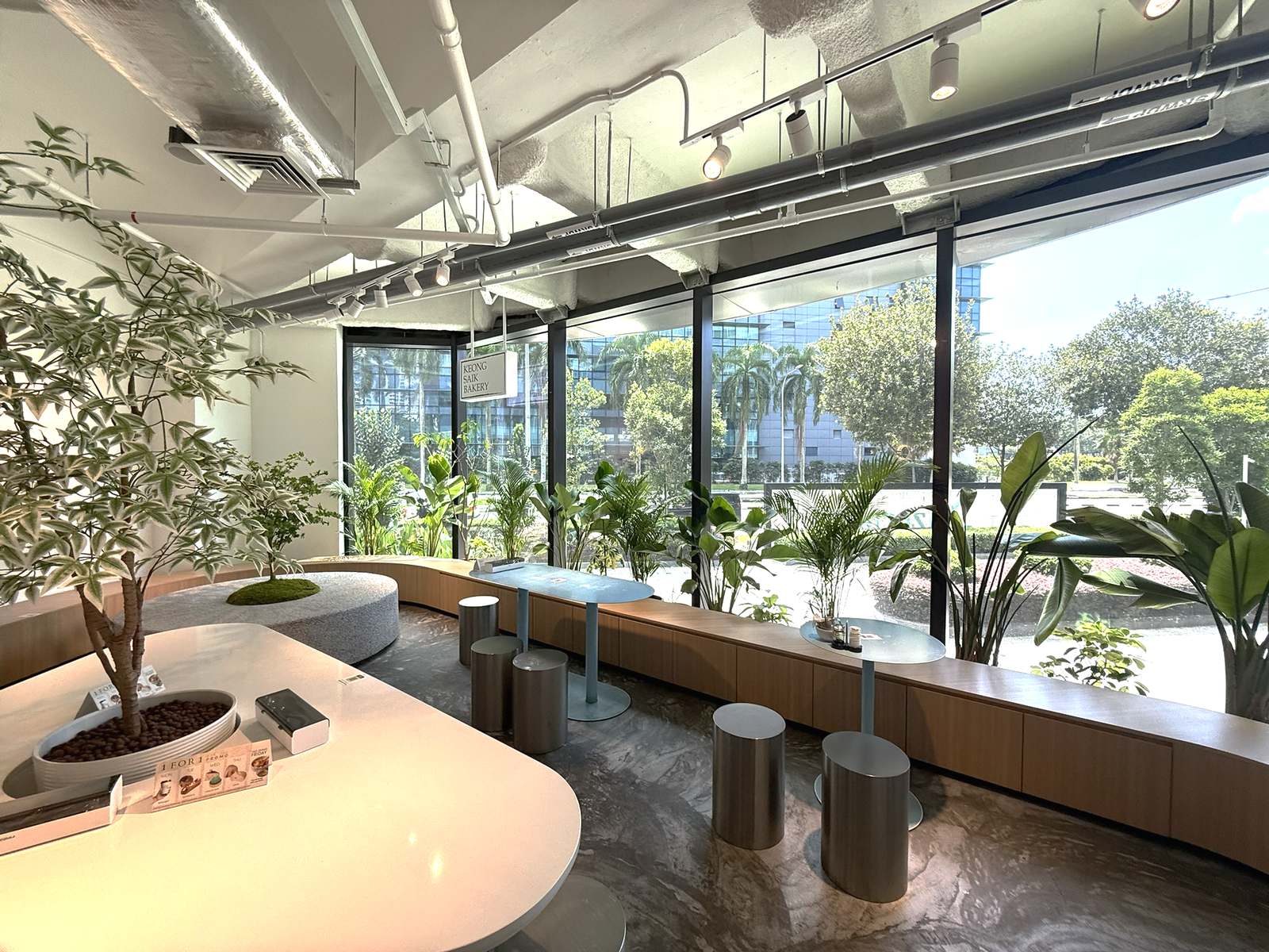 Window seating with plants at Bendemeer